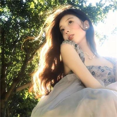 纳瓦尼事件簿